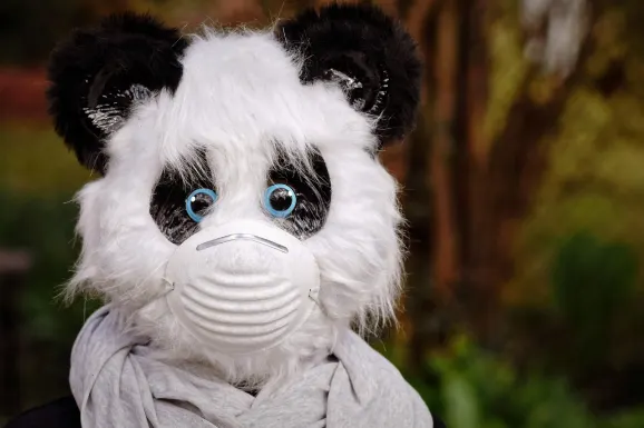 Thunderbolt Kazino Atbalsts